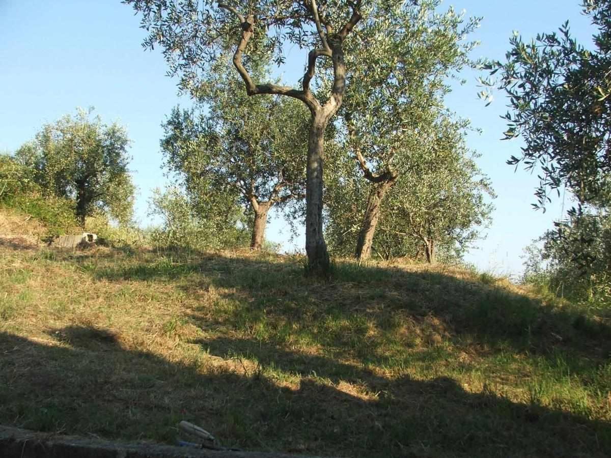 La Casetta Di Sofia Moneglia Ngoại thất bức ảnh